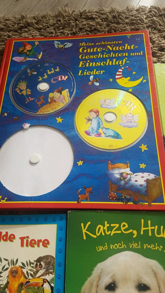 10 Bücher Kinder Backen Disney Gute Nacht LKW Gartenbuch Tiere... in Sangerhausen