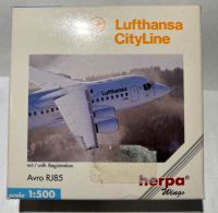 Herps Wings Lufthansa Avro RJ85 Hessen - Glauburg Vorschau