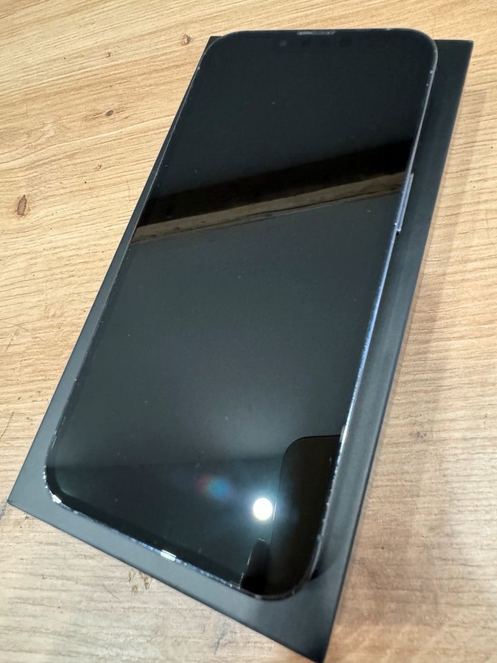 iPhone 13 Pro sierrablau 128gb Rückschaden in Ochtrup