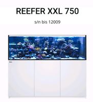 Meerwasseraquarium RedSea Reefer 750 XXL incl. Technik Salzwasser Nordrhein-Westfalen - Bad Münstereifel Vorschau