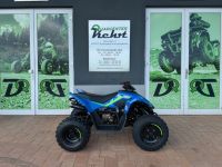 CFMOTO CFORCE 110 Quad / ATV / Kinderquad CF MOTO Rheinland-Pfalz - Altenglan Vorschau