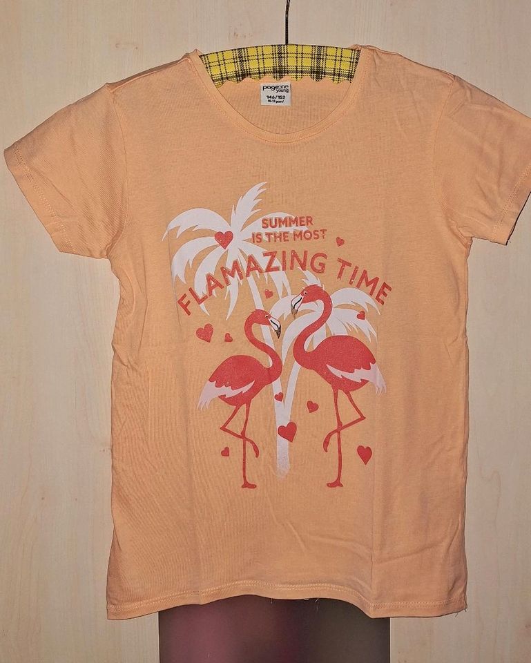 ❤️ 2 süße T-Shirt Next Gr.146 / 152 Einhorn Flamingo England Mode in Germering