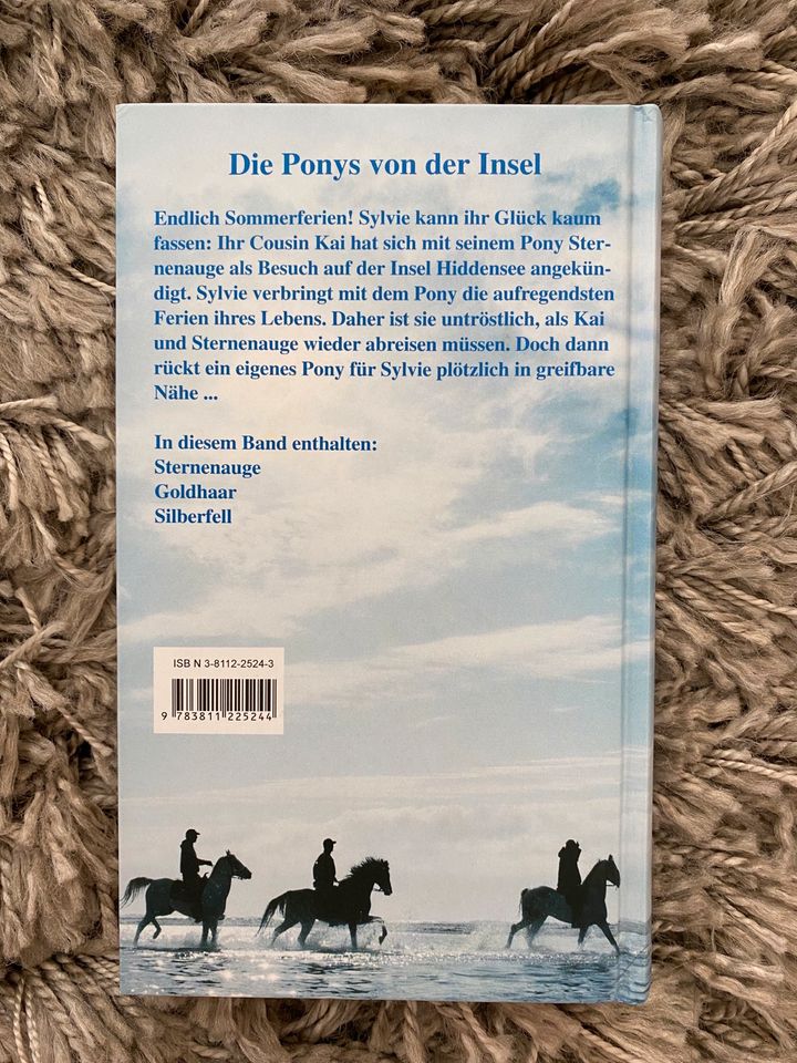 Die Ponys von der Insel in Bad Kissingen