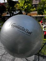 Petzi Ball 75cm Silber Gymnastikball Bayern - Würzburg Vorschau