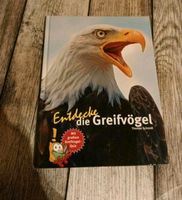 Entdecke die Greifvögel Bayern - Vorbach Vorschau