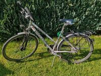 Fahrrad Pegasus 28 Zoll Sachsen - Zwoenitz Vorschau