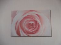 Leinwand Bild Rose Blüte orange gelb ca. 57 x 38 cm Schleswig-Holstein - Schuby Vorschau