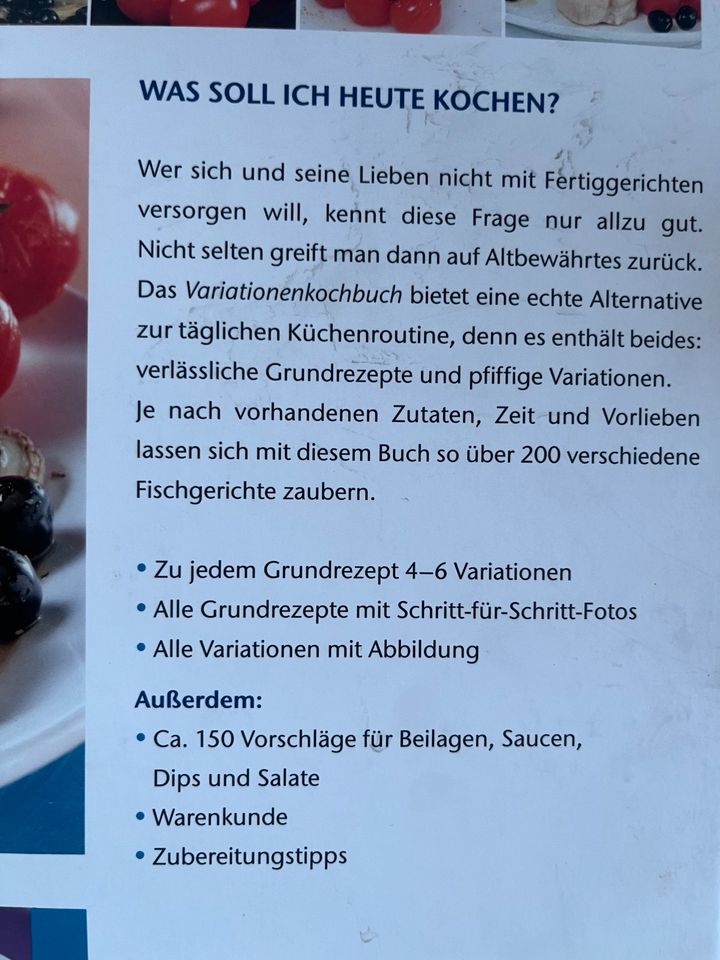 Kochbuch Fisch Buch Rezepte Salat, Sause, Beilagen in Schweigen-Rechtenbach