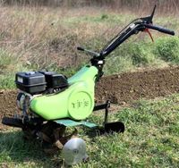 Motorhacke TPS Flora 55 Gartenfräse Einachser 50 cm Arbeitsbreite Niedersachsen - Berne Vorschau