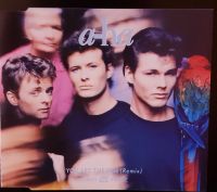 A-HA "You are the one" ('88er 3"Maxi-CD) Sammlungsauflösung Niedersachsen - Hildesheim Vorschau