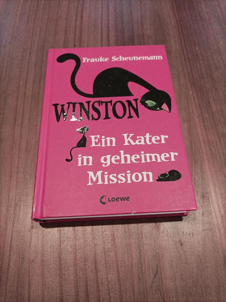 WINSTON "Ein Kater in geheimer Mission" in Raubling