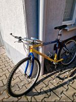 Fahrrad Marke Bulls Hessen - Bensheim Vorschau