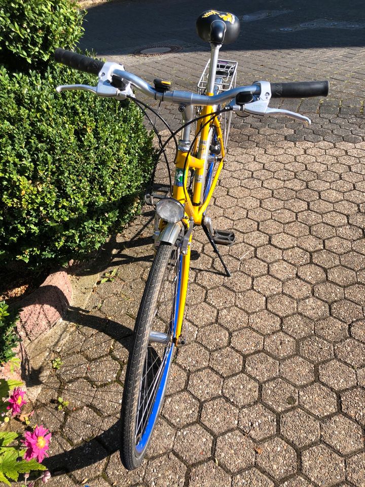 Staiger Florida Sportline Fahrrad in Buch Hunsrück