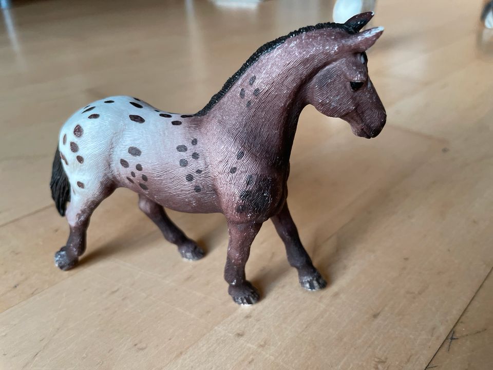 Schleich Pferde in Braunschweig