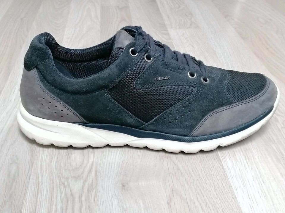 Neuwertig 42 GEOX U Damian A Herren Sneakers blau Leder / Mesh in Zierenberg