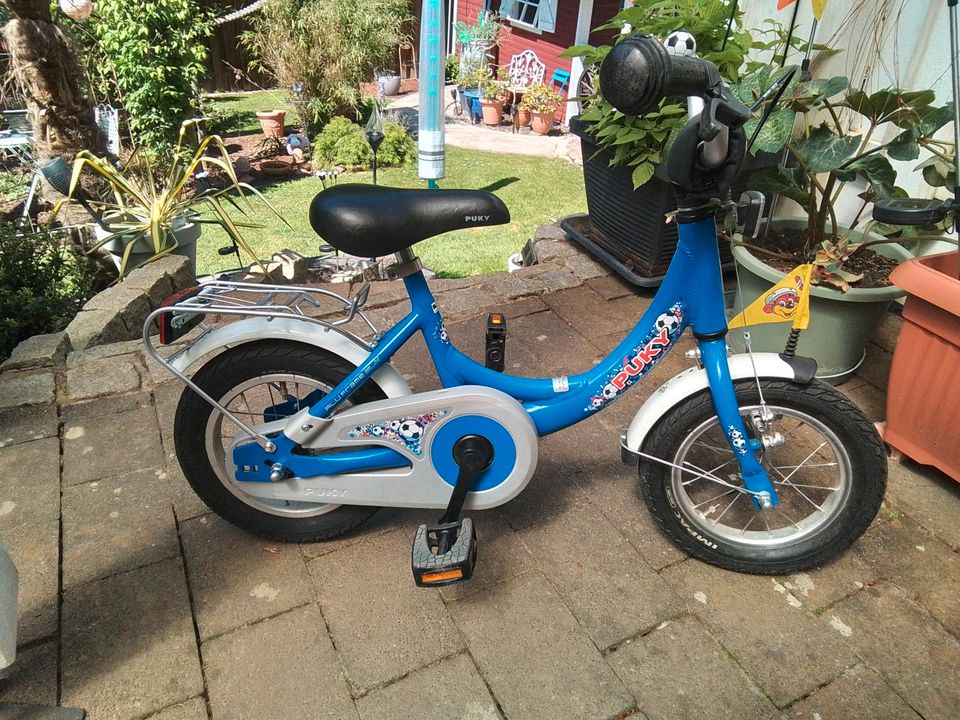 Puky Kinderfahrrad Fußball ⚽ 12 Zoll in Enger