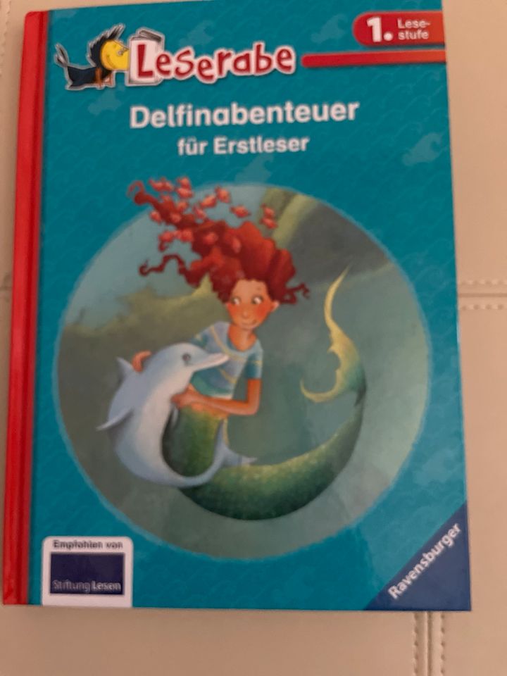 Delfin Abenteuer, erste Lese Stufe, Lese Rabe in Kelkheim