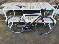 Rennrad Columbus Carbon Shimano 105 RH 50 Nordrhein-Westfalen - Medebach Vorschau