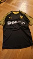 2x BVB.Fußball.Dortmund.Borussia.Sportshirt.Trainingsshirt.Fitnes Dortmund - Innenstadt-West Vorschau