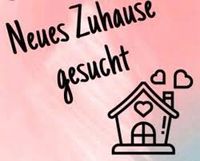 Wir suchen eine 3,5/ 4 Zimmer Wohnung Hessen - Weiterstadt Vorschau