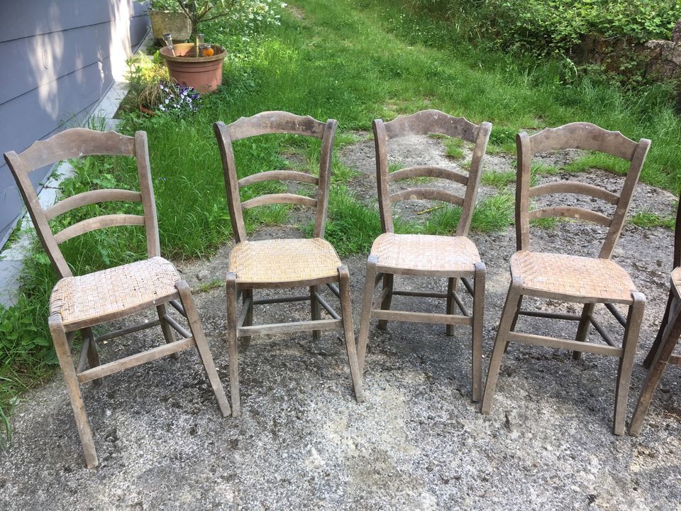 6 antike Stühle in Cronenberg