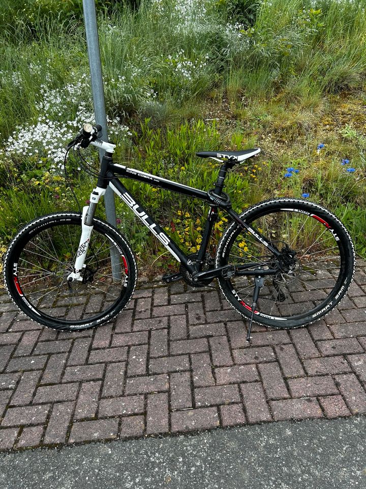 Bulls King Cobra Fahrrad Disc in Miehlen