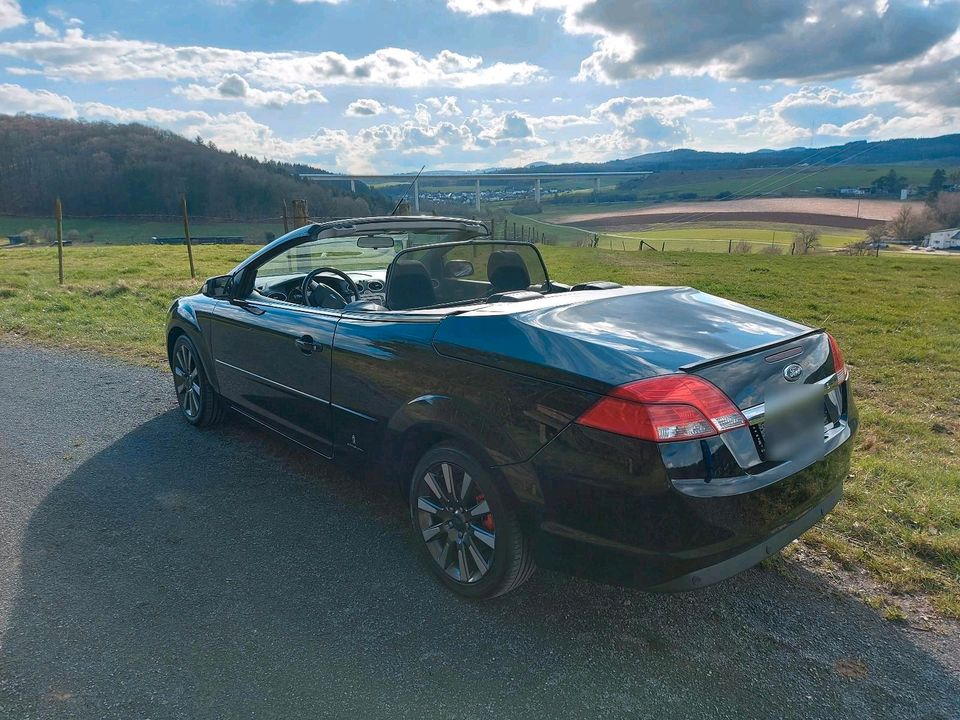 Ford Focus Cabrio SONDERMODELL in Kirchweiler