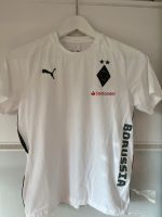 Borussia Mönchengladbach Shirt Neu - Gr.152 Baden-Württemberg - Stutensee Vorschau