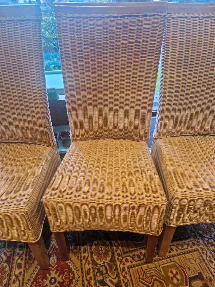 Stühle Korbstühle 3 Stück in Arnsberg