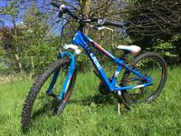 MTB 24 Zoll Cube Mountainbike Kinderfahrrad 24" Sachsen - Nossen Vorschau