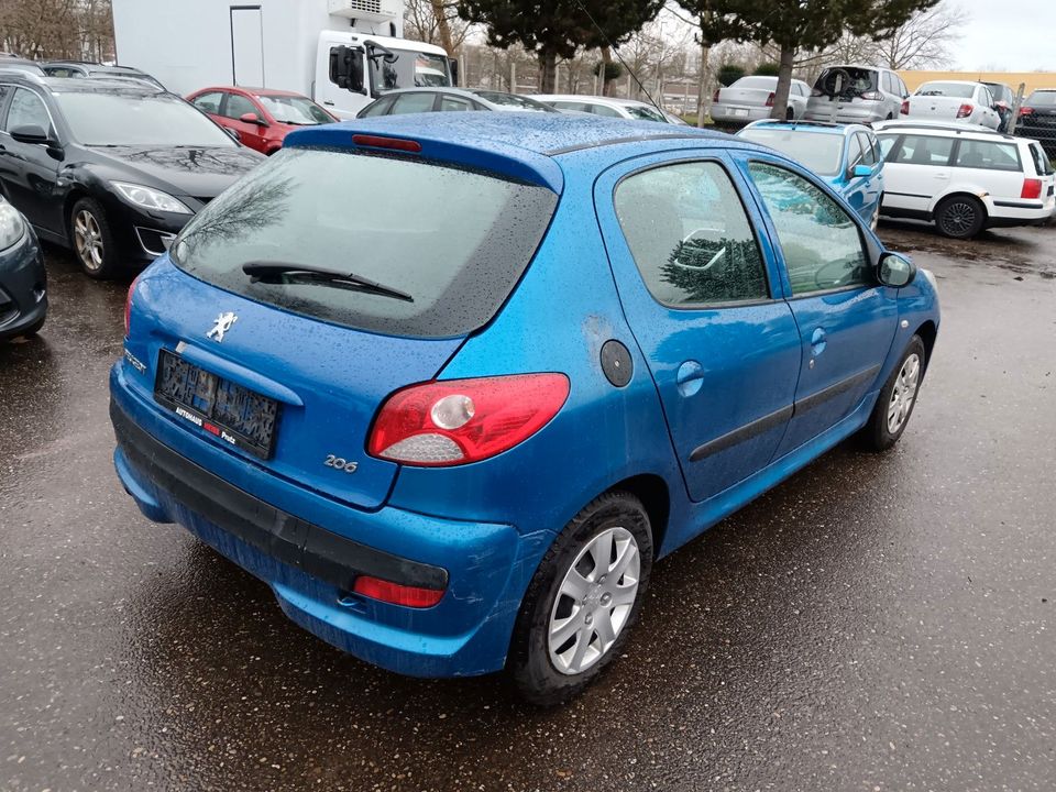 Peugeot 206 + Basis in Lahr (Schwarzwald)