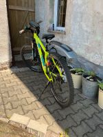 Fahrrad Stevens taniwha lemon green RH 46 unfallfrei Sachsen - Wittgensdorf Vorschau