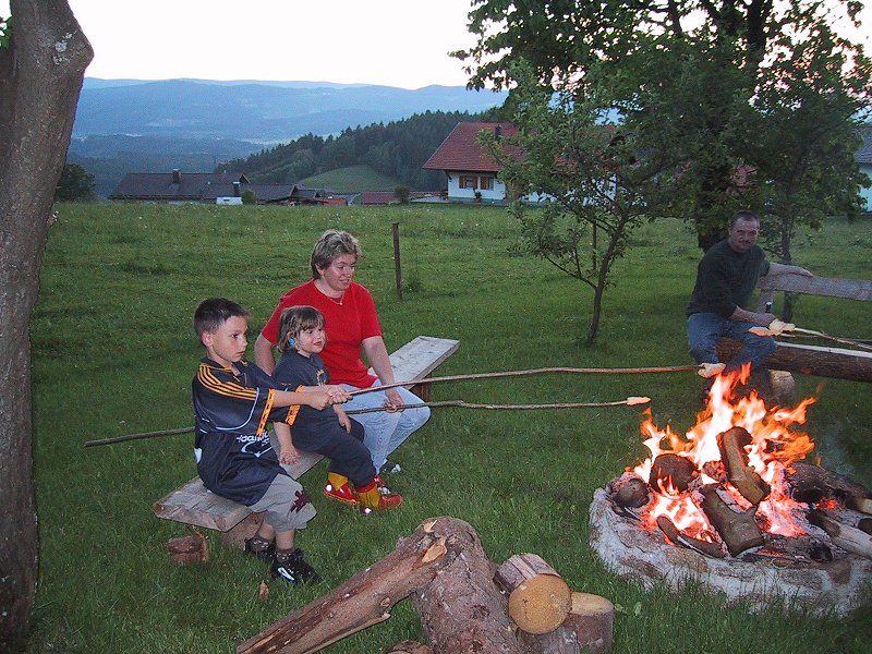 Ab sofort nähe Bodenmais Ferienwohnung zu vermieten in Geiersthal