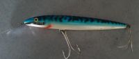 Riesen Rapala MAGNUM Wobbler 26cm Bayern - Holzkirchen Vorschau