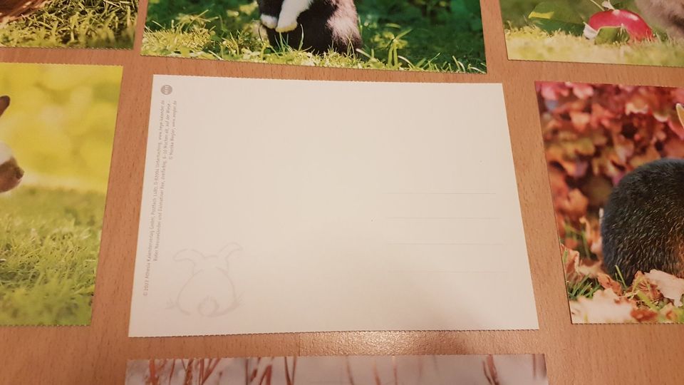 10 Hasen, Osterkarten, Ostern Postkarten, Kaninchen in Dresden