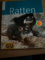 Tierratgeber Ratten !!! Nordrhein-Westfalen - Dorsten Vorschau