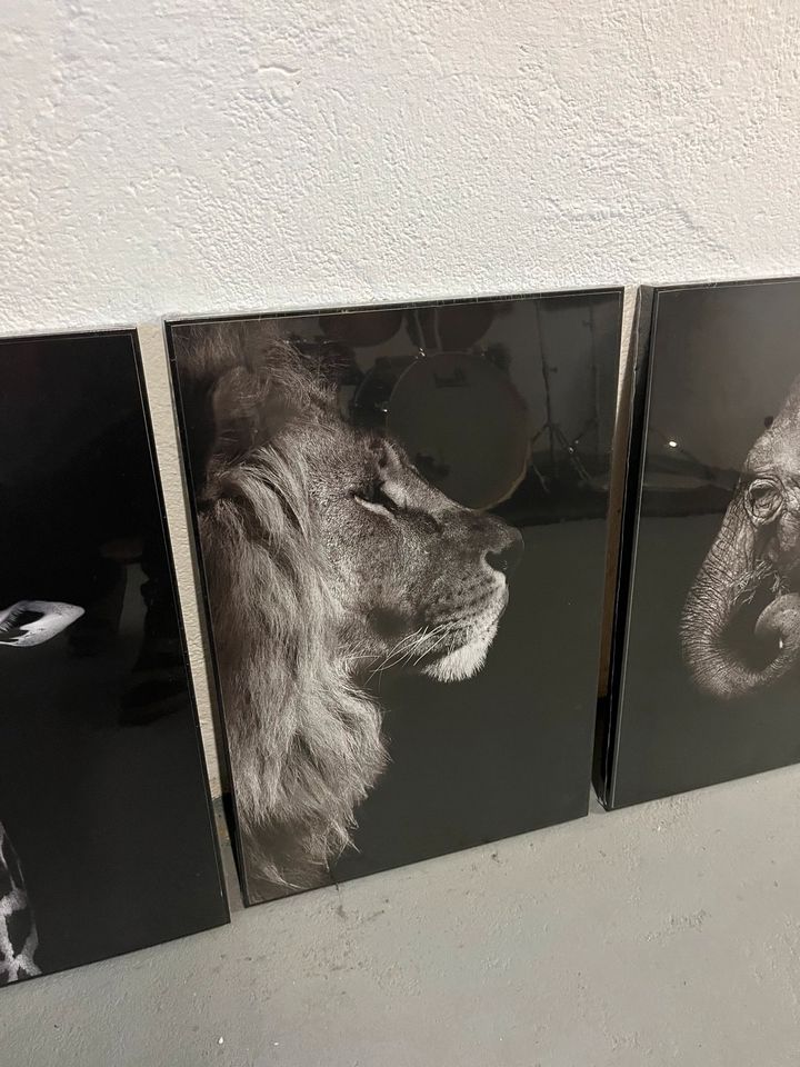 Kunstdrucke Bilderrahmen Tiermotive schwarz-weiß 60x40 in Merzig