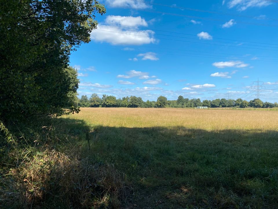 Grundstück  Grünland  Ratingen - Lintorf in Ratingen