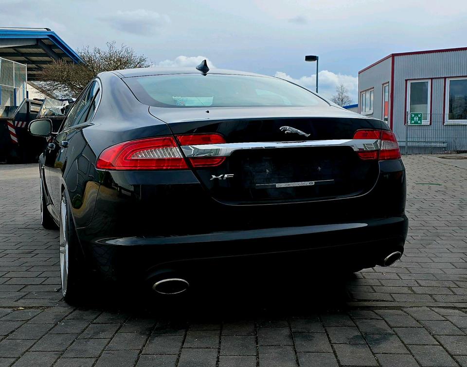 Jaguar XF 3.0 V6 Kompressor 340 PS BTH LEDER CAM NAVI BI-X in Schwäbisch Gmünd