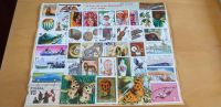 Steckkarten Konvolut Briefmarken unsortiert Sachsen-Anhalt - Reuden b Zeitz Vorschau