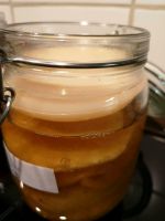 Kombucha, Teepilz, Scoby Kiel - Ellerbek-Wellingdorf Vorschau