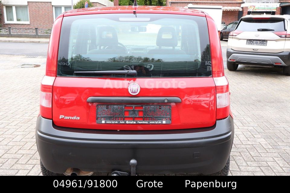 Fiat Panda 1,3 JTD  Klima, AHK in Papenburg