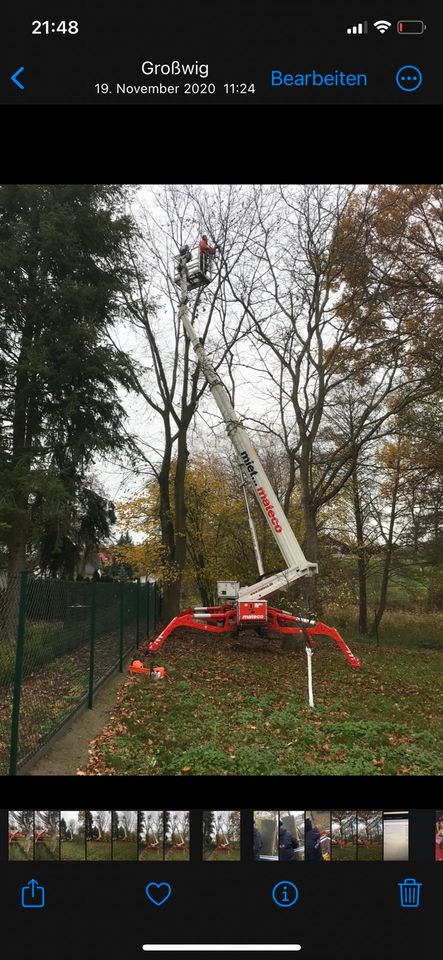 Baggerarbeiten ,Erdarbeiten, Pflastern, Transporte in Bad Dueben