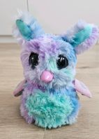 Hatchimals Mystery Nordrhein-Westfalen - Gelsenkirchen Vorschau