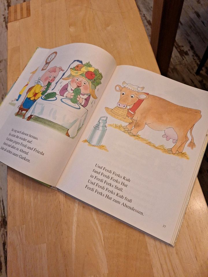 Kinderbuch Mein großes Richard-Scarry Buch in Burgwald