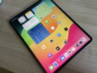 Apple iPad Pro 12,9" 3. Gen 2018 Wifi + Cellular 4G A1895 256GB S Niedersachsen - Friesoythe Vorschau