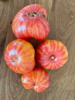 10 Tomatensamen von “Beauty King” Bayern - Eching (Niederbay) Vorschau