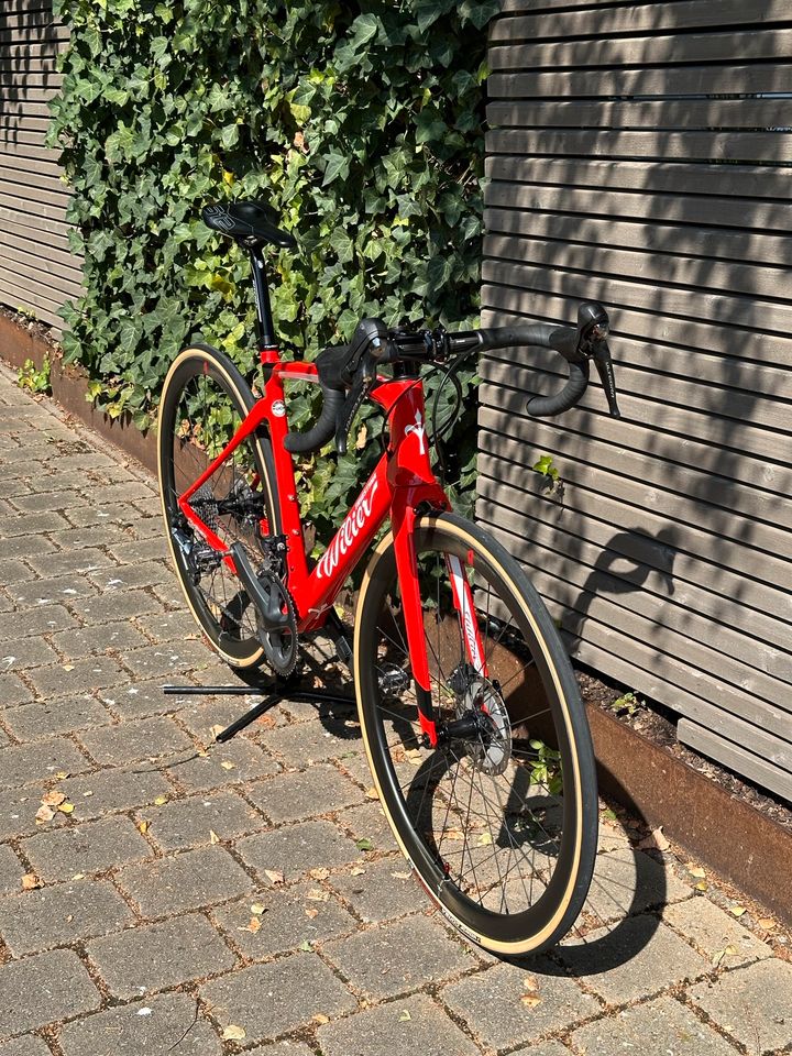 Wilier Triestina Cento 1 NDR Gr. M  Carbon Rennrad in Walddorfhäslach