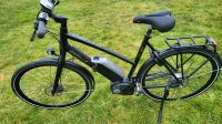 Gazelle ebike trecking e bike 500wh  L Hessen - Hohenahr Vorschau