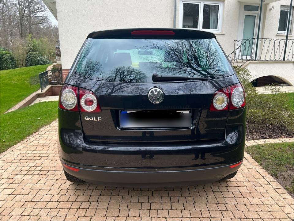 VW Golf Plus Comfortline mit Apple Car Play, Rückfahrkamera in Bad Homburg